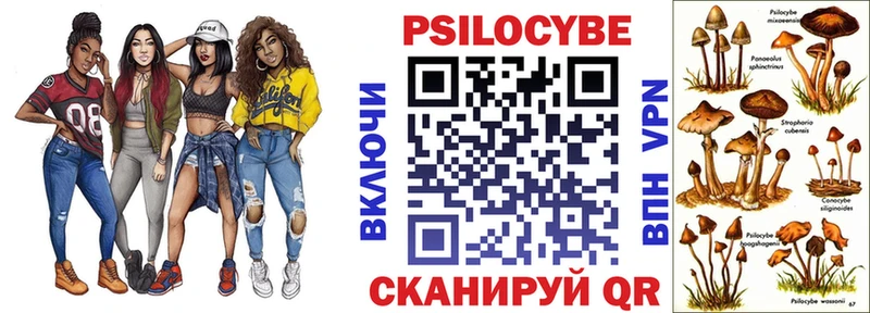 гидра как войти  Чёрмоз  Псилоцибиновые грибы Cubensis  даркнет сайт 